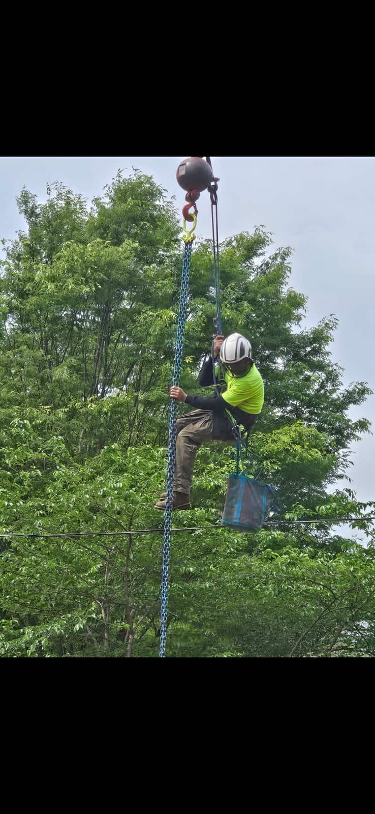 Atlantic Tree Services owner and crew in the field